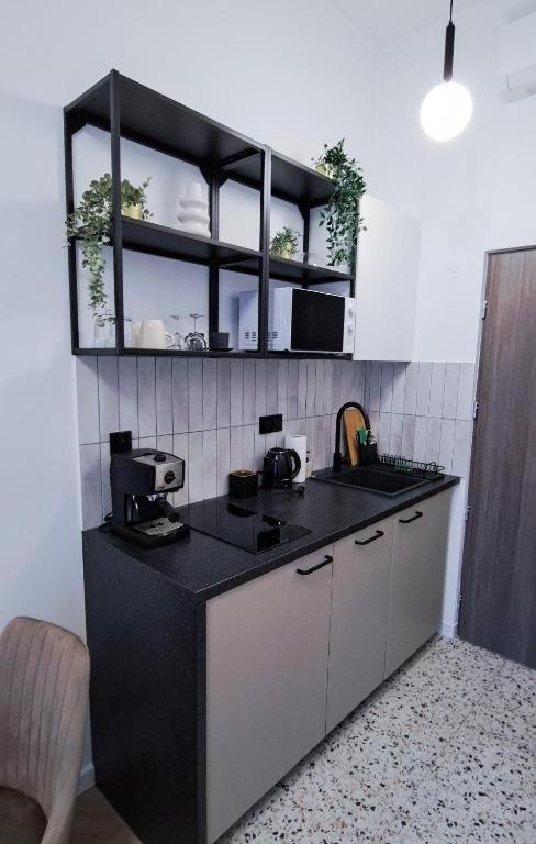 Lion Apartments - Premium Studio With Balcony Krakkó Kültér fotó