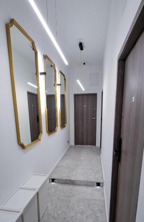 Lion Apartments - Premium Studio With Balcony Krakkó Kültér fotó